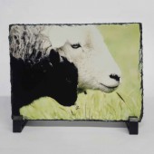 Rectangular Slate Bespoke Printing